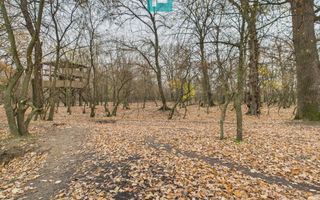 Teren pe malul Muresului- oportunitati multiple - Poză 26