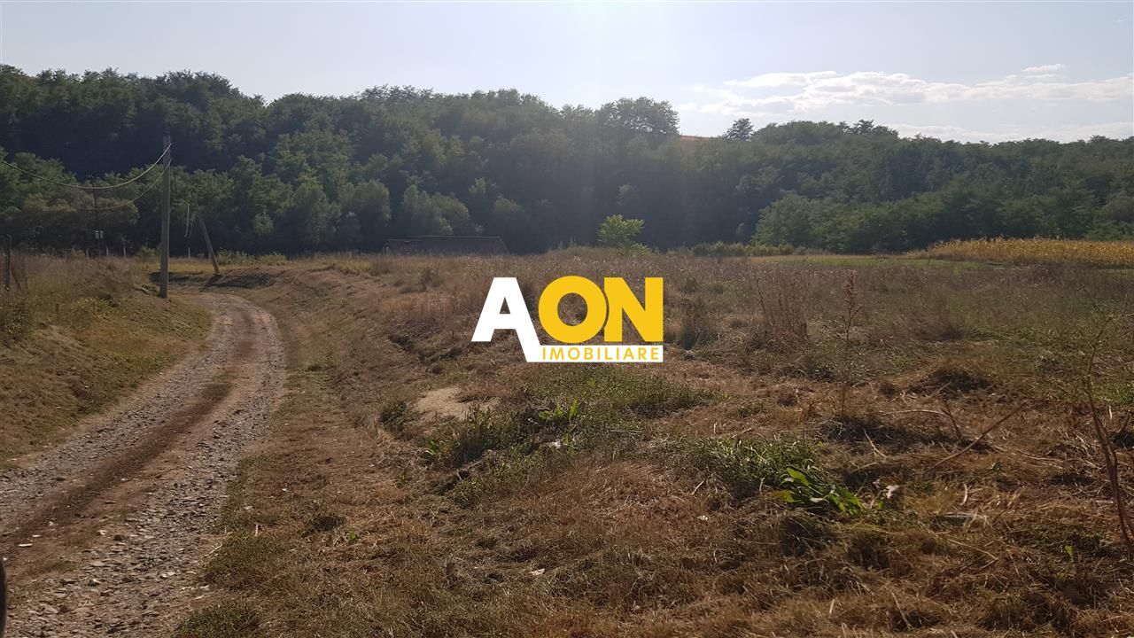 Teren intravilan Teleac cu toate utilitatile - Poză 3