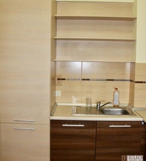 In apropierea complex-ului ISHO - Badea Cartan, centrala proprie - Poză 6