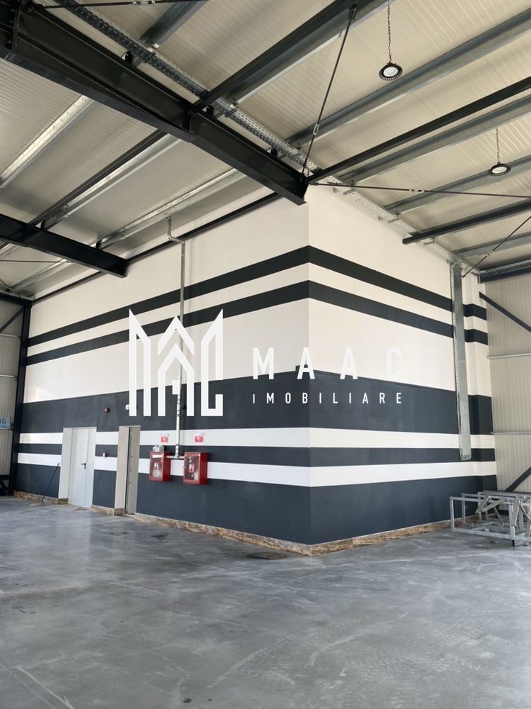 Hală logistică I 1200 mp I Acces TIR I Birouri I Tălmaciu - Poză 4