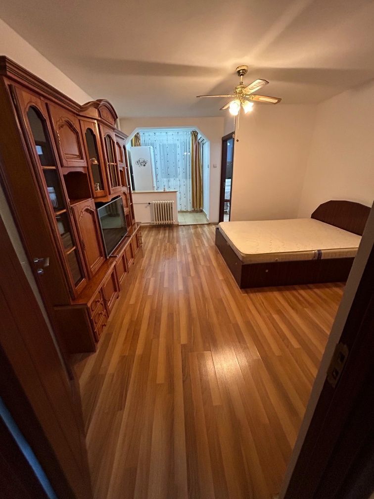 GARSONIERA IN BRAZDA LUI NOVAC - Poză 1