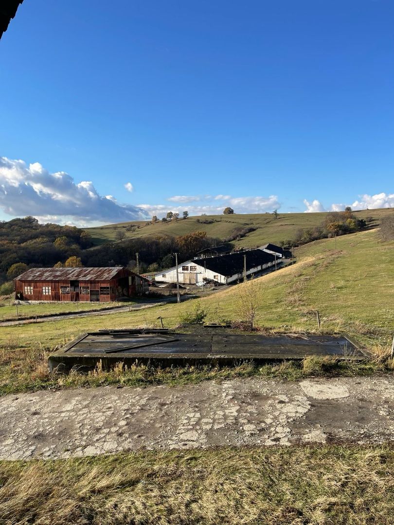 Ferma cu teren de 200 hectare - Poză 7