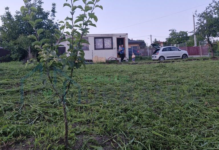 Teren intravilan de vanzare, Chicerea, 740 mp, strada Canarului, Tomesti - Poză 1