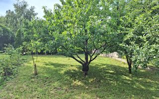 Vila deosebita de vanzare in cartierul Andrei Muresanu - Poză 25