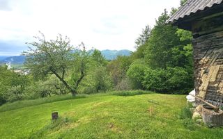 Domeniu Premium 1.7 Ha Intravilan Zărnești | Lizieră Pădure | Ideal Resort - Poză 4