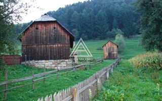 5283 mp TEREN INTRAVILAN IN ZONA MONTANA BUCOVINA, VAMA – SUCEAVA - Poză 6