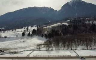 TEREN DE VÂNZARE – ZĂRNEȘTI / PLAIUL FOII – LA ASFALT - 2400 Mp - Poză 4