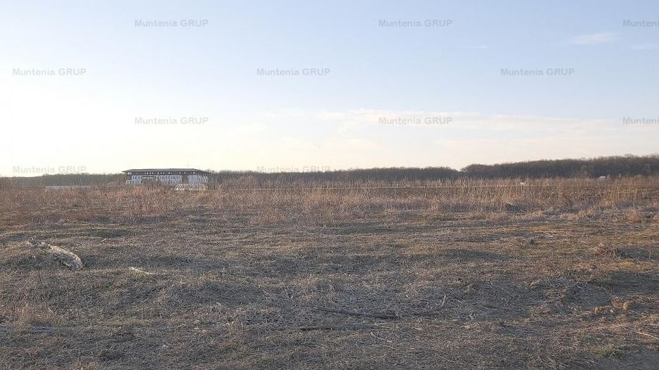 SNAGOV, langa Casa Vlasia, 3.500 mp. teren cu posibilitate pana la 7.000 mp. - Poză 7