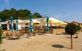 Afacere Profitabilă de Vânzare–Salină Artificială Funcțională în Ocna Sibiului - Poză 4