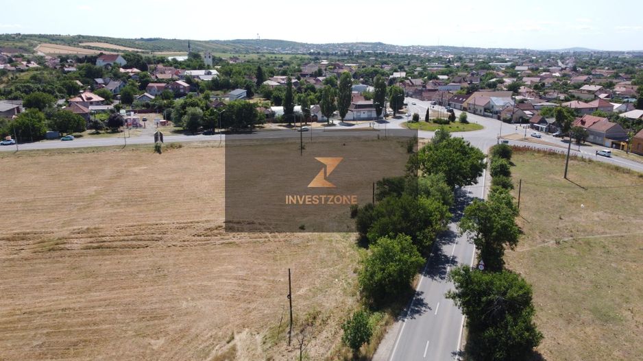 Teren 250000mp ,ideal  pentru logistica in Oradea - Poză 3