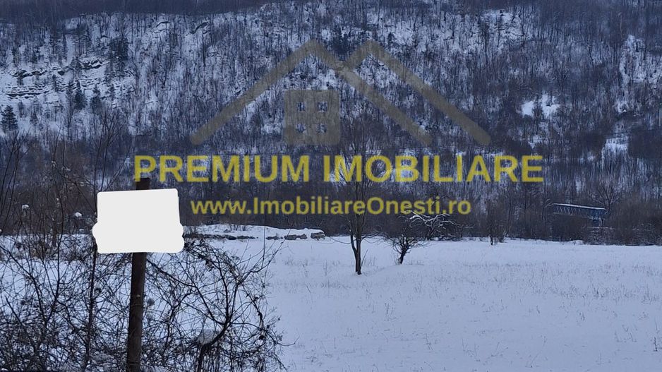 Teren de vânzare în Poiana Sărată – 2.400 mp - Poză 2