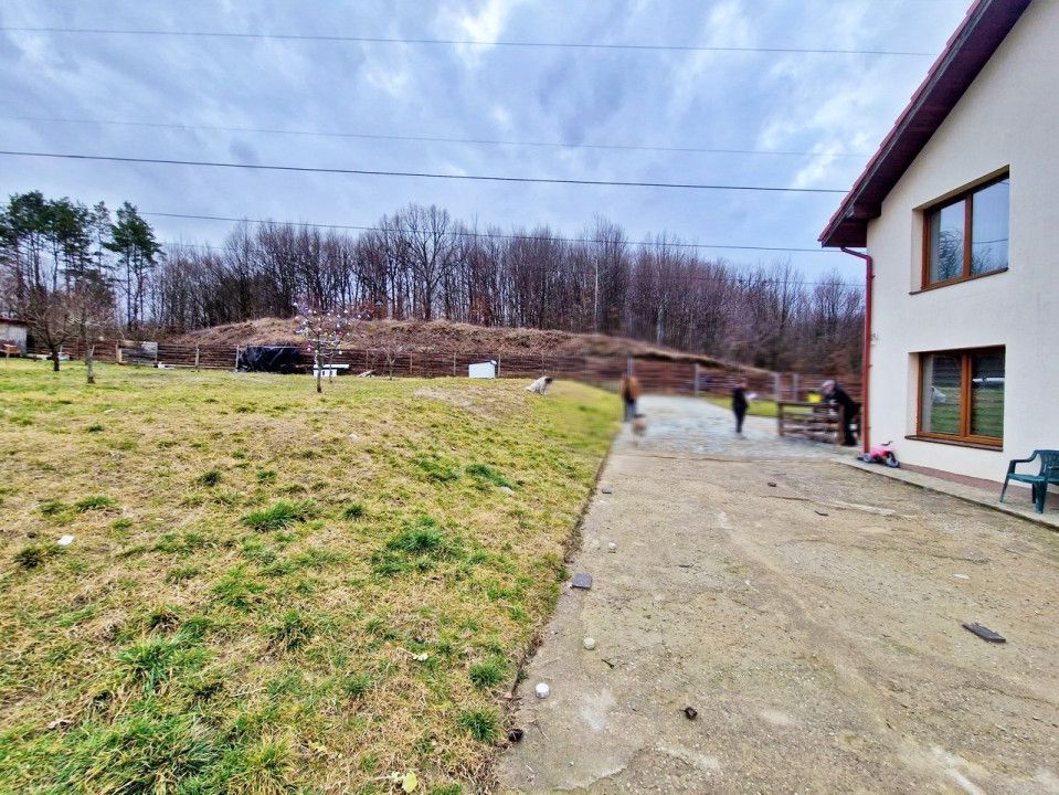 Vanzare vila deosebita, 7 camere, Labusesti-Uiasca - Poză 10