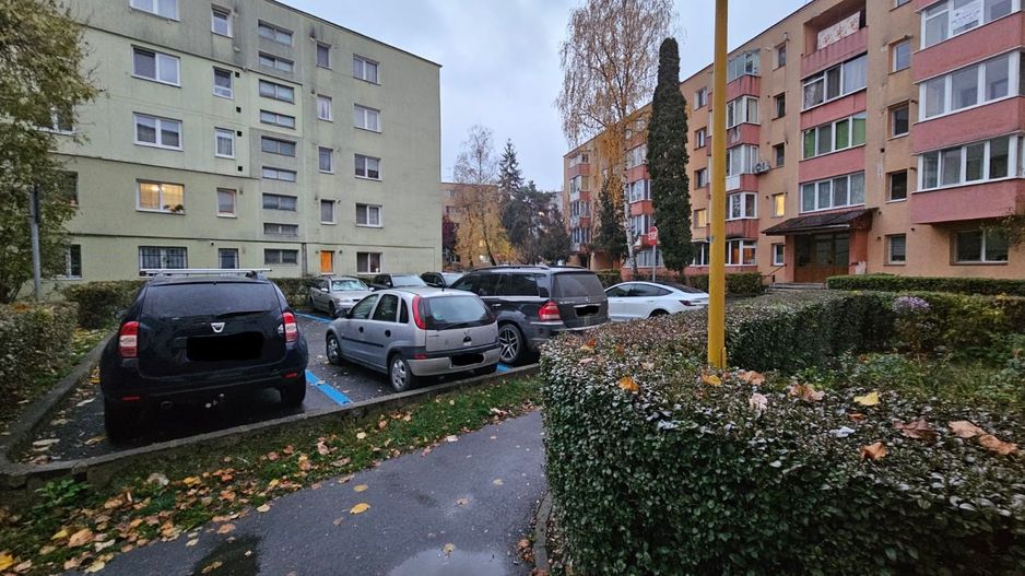Apartament 2 camere,  bloc izolat, parter-zona Florilor. - Poză 6