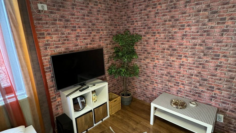 GARSONIERA PRIMAVERII | LUX | CENTRALA - Poză 2