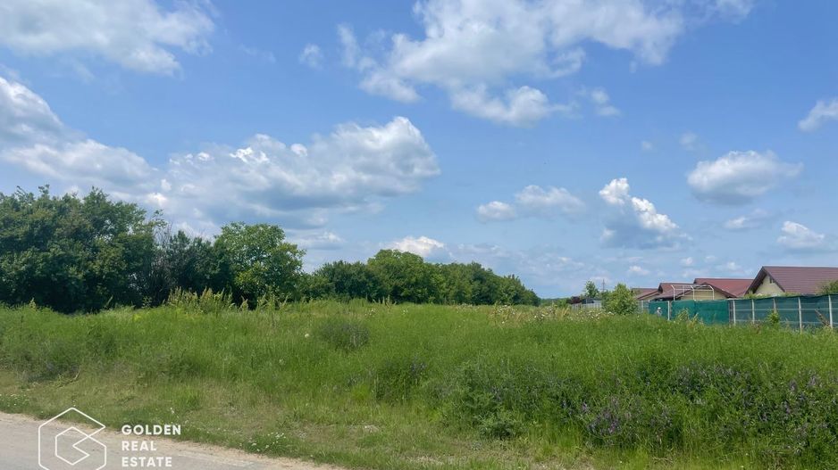 Teren intravilan, Balotești, Strada Cameliei 36, 10.000 mp - Poză 3