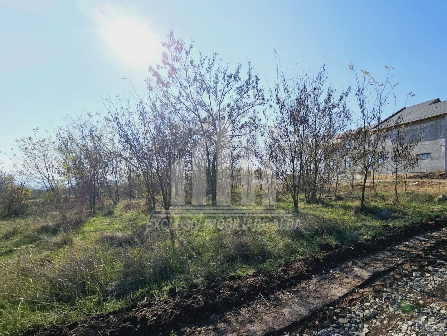 Teren intravilan de vanzare, Podei - Poză 2