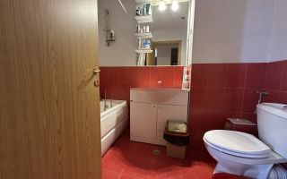 Apartament 3 camere, etaj internediar, finisat, zona str Constantin Brancusi - Poză 18