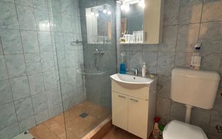 Apartament 1 camera la 10 minute de Iulius Mall - Poză 8