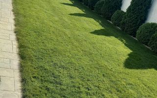 Duplex despartit prin garaj  I 5 camere I Complet mobilat I Dumbravita - Poză 27