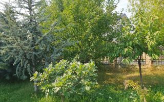 De vanzare teren 562mp + foisor si beci, Bragadiru - Poză 7