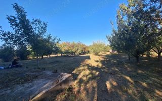 Vând Teren Horlesti-Rediu - Poză 5