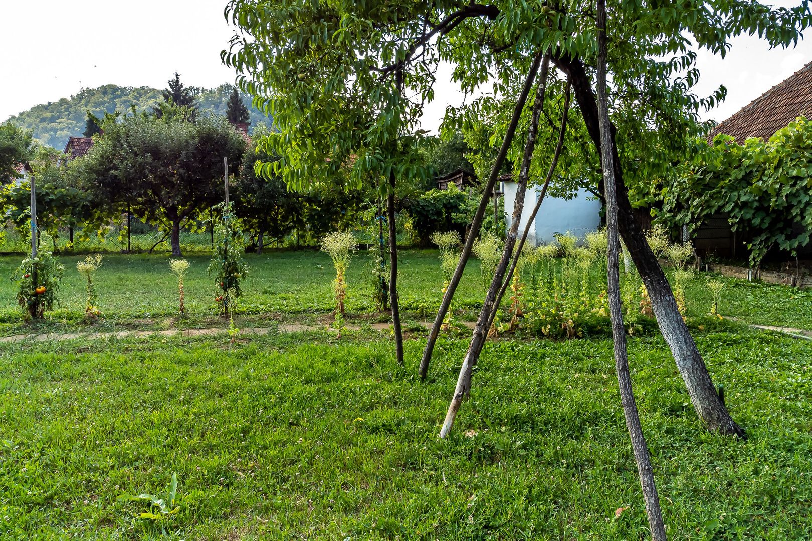 Casă frumoasă la Săvârșin - Poză 9