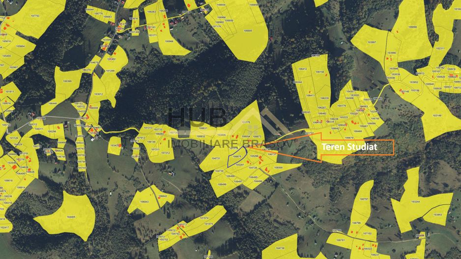 Teren Moieciu zona Pestera cu PUZ si utilitati | 4.649mp - Poză 6