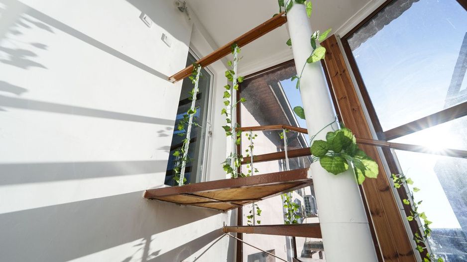 Spatiu comercial/de birouri elegant pentru afacerea ta, Brestei-zona Obedeanu - Poză 16