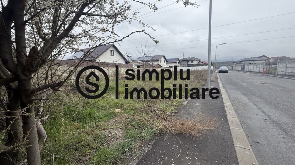 Teren 900 MP Bariera Valcii - Poză 1