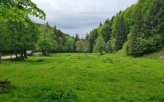 13005 mp teren faneata in Bran Simon cu fornt de 57 mp - Poză 6