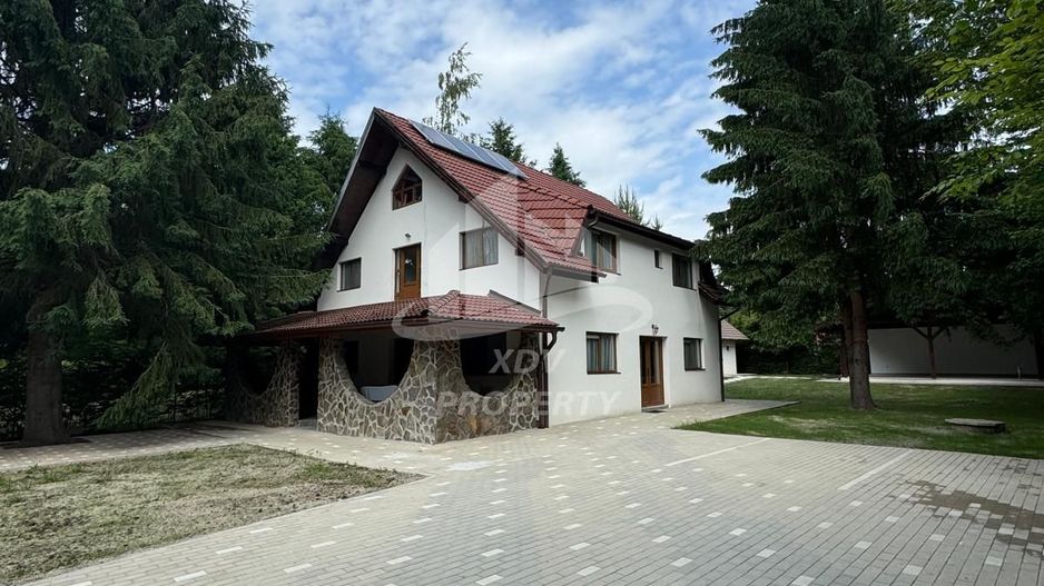 Pensiune/ Vila Valea Avrigului - Poză 24