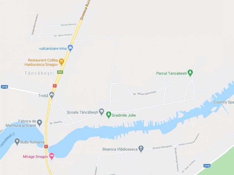 Vanzare teren 20.000 mp Padurea Vladiceasca, Tancabesti - Poză 1