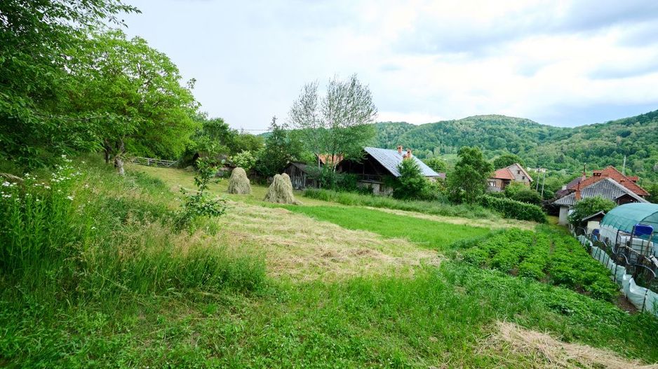 Casa cu teren generos - 4696 mp Apa Sarata - Campulung !! - Poză 11