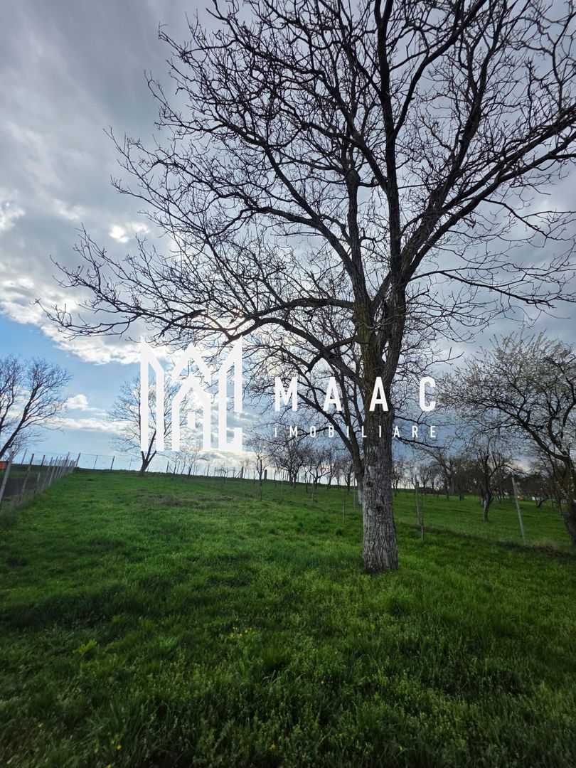 Casa individuala I Curte I Teren 1700 mp I Rosia - Poză 48