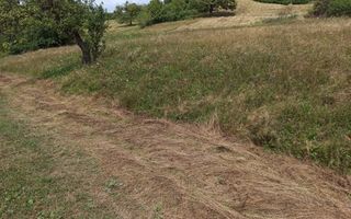 Teren 5200 mp-ideal cabane, case de vacante, agricultura-Livezile - Poză 3