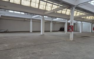 Hală de închiriat în Arad - Poză 10