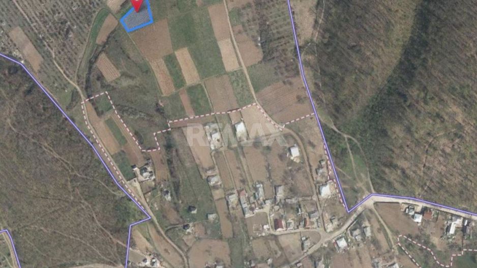 Tabăra/Orhei | 12.87 ari | Teren în inima Codrilor – Ideal pentru evadare în natură sau investiție - Poză 6