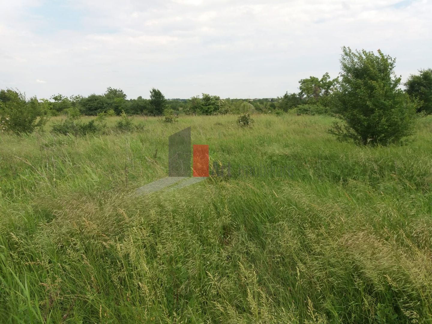 Teren Buftea cu iesire la lac - Poză 19