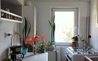 Apartament 1 camera zona Freidorf cu centrala - Poză 3