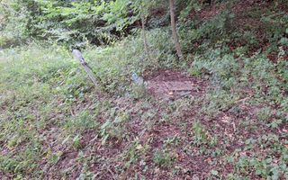 VANZARE ANSAMBLU CASUTE BRADULET ARGES - Poză 17