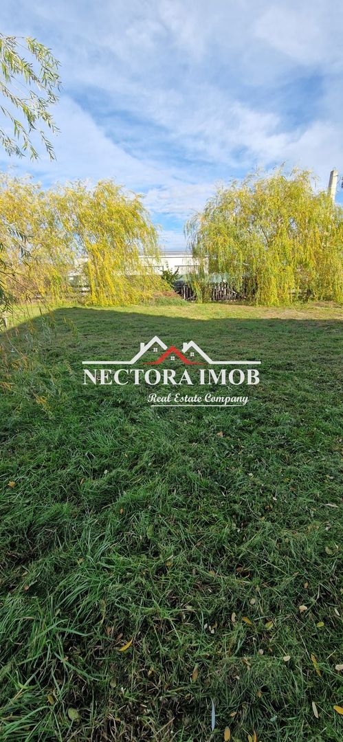 NECTORA IMOB-Centru medical multifunctional Osorhei E60, 1000 mp teren - Poză 18