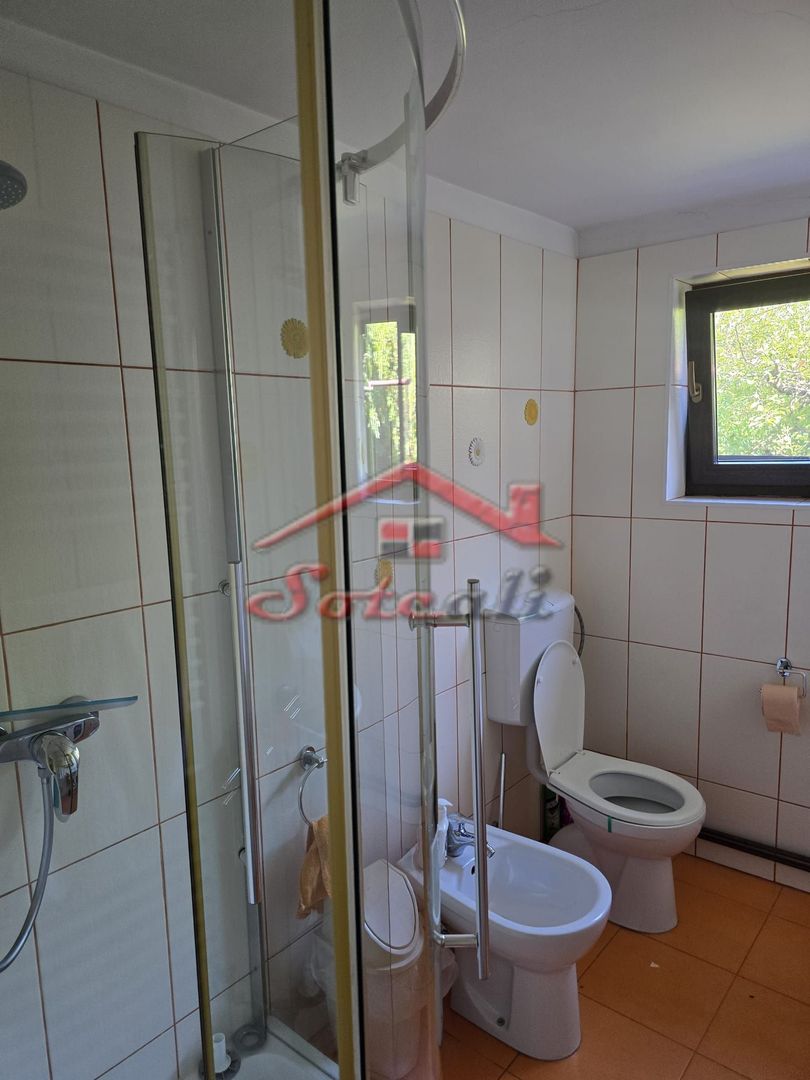 Vilă elegantă și casă independentă pentru oaspeți - Banesti - Poză 22