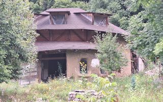 VANZARE ANSAMBLU CASUTE BRADULET ARGES - Poză 7