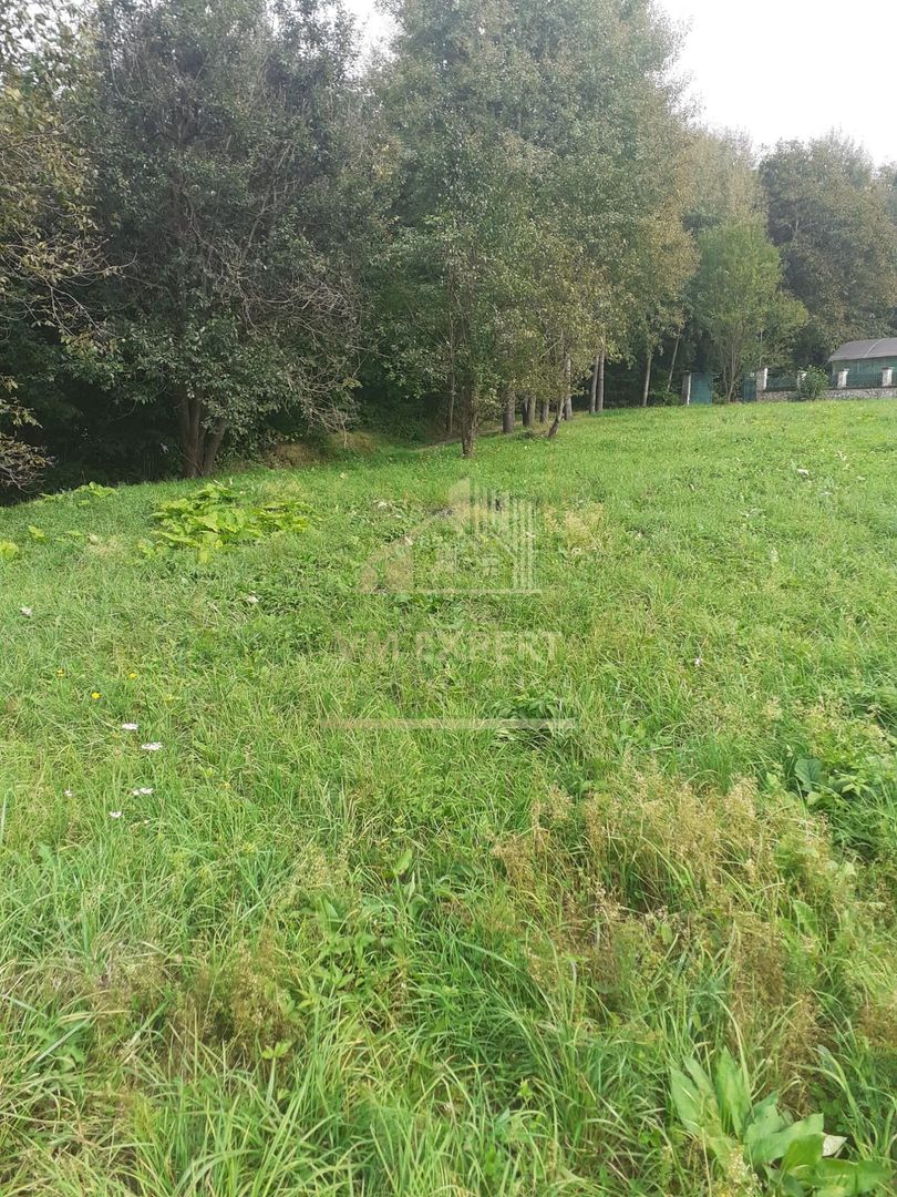 TEREN INTRAVILAN 3698 MP, CAMPULUNG, ARGES - Poză 4