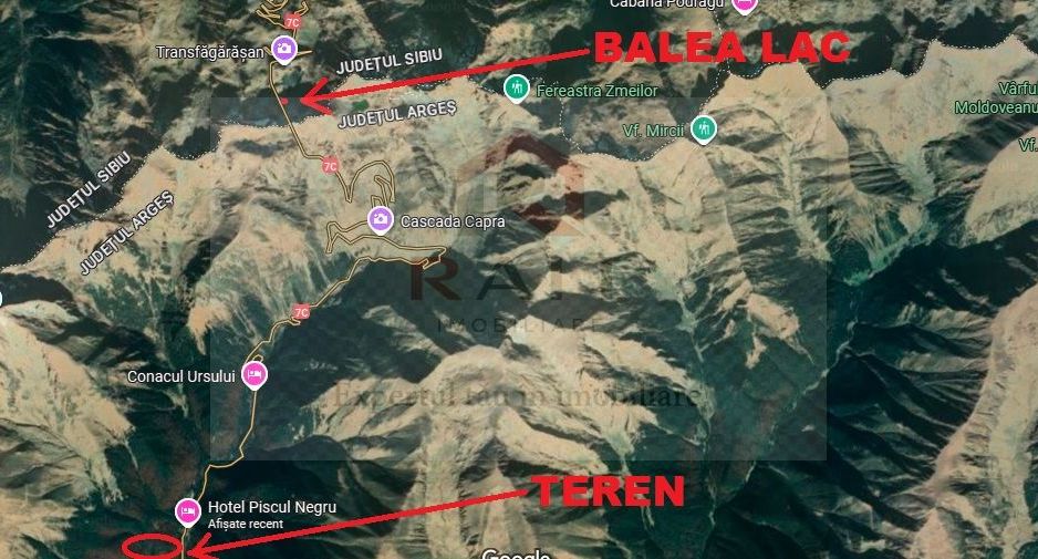 TEREN EXTRAVILAN PADURE PISCUL NEGRU ARGES - Poză 7