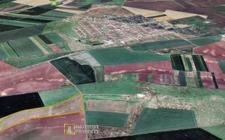 Teren agricol 12,28 ha Sagu – acces DN69 & A1, acum 1,38 €/m - Poză 3