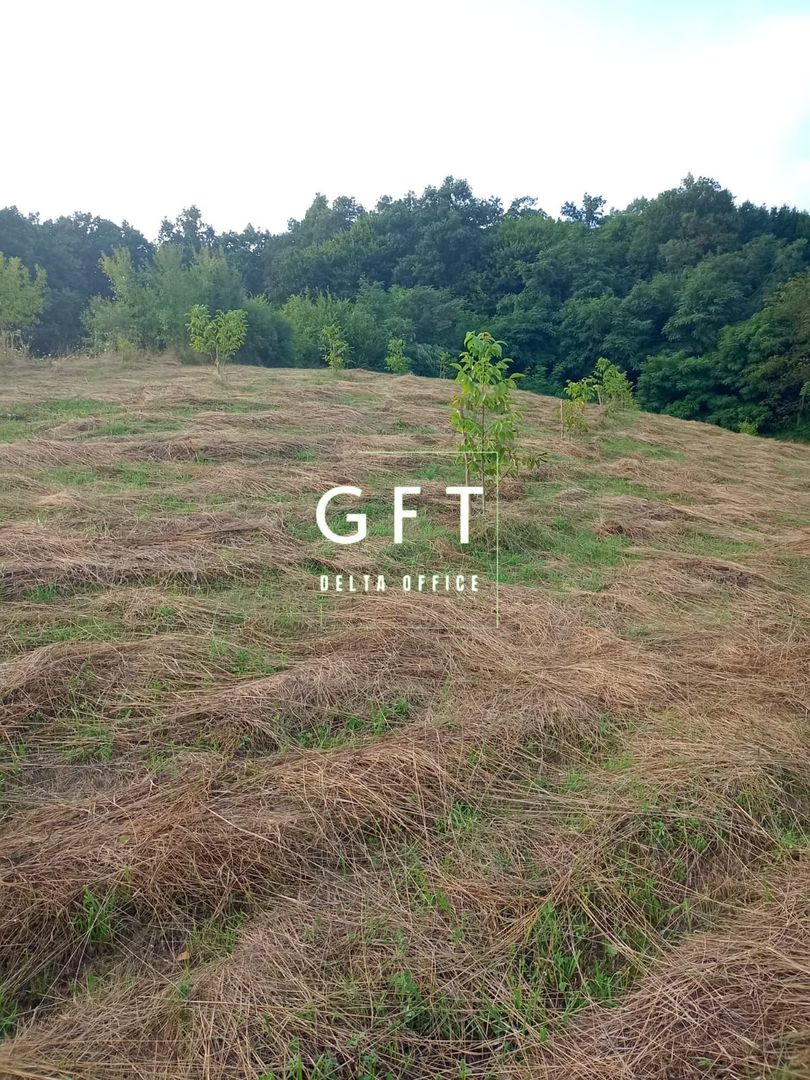 Casa de vanzare in Piatra com. Chiuza cu teren de 30Ari. - Poză 21