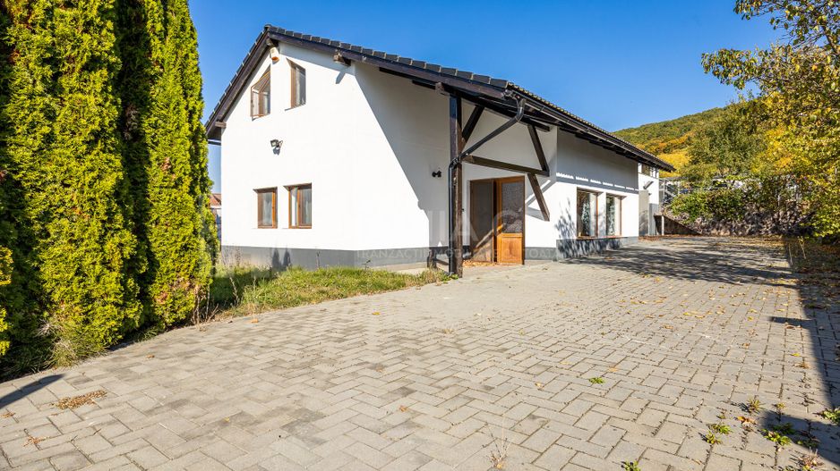 Casă 4 camere, garaj, foișor, grajd, 6000mp teren lângă padure - Poză 30
