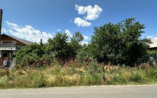 Teren 16534 mp pentru dezvoltare rezidențială, Siliștea Snagovului - Poză 5