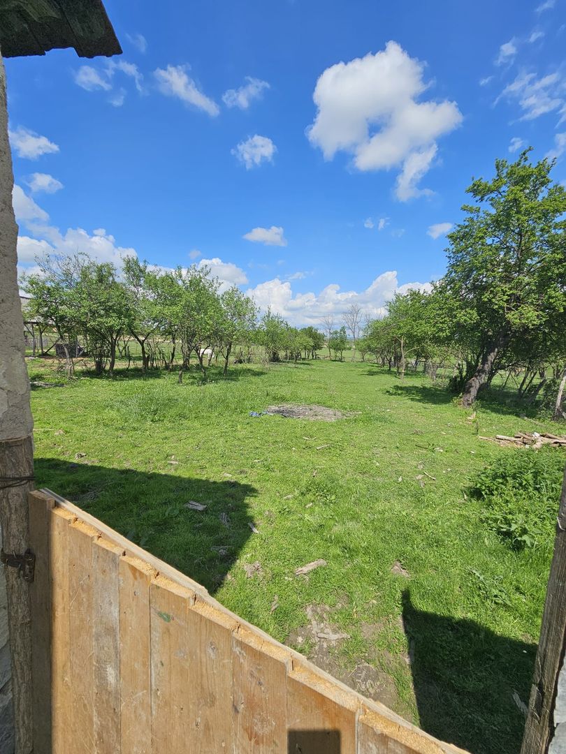 Casa la tara in Rogoz, Bihor, teren 1427 mp, acces auto - Vanzare - Poză 6